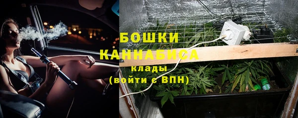 2c-b Новозыбков