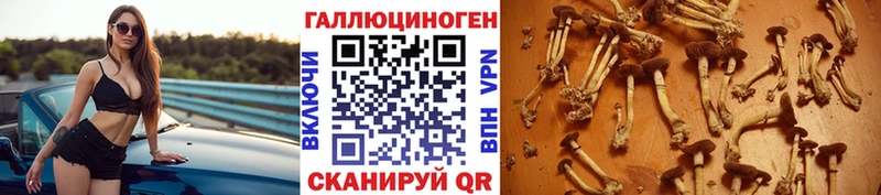 Псилоцибиновые грибы ЛСД Подпорожье