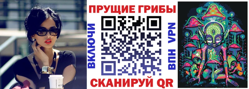 Псилоцибиновые грибы Psilocybe  цена   Подпорожье 